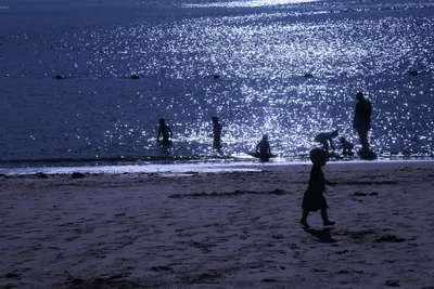 DSC_0839 (Large).JPG